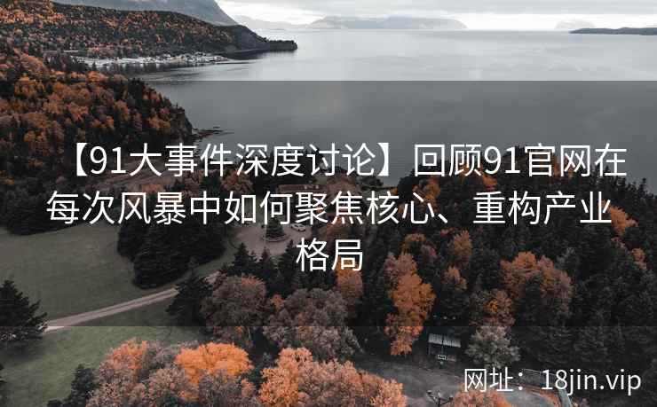 【91大事件深度讨论】回顾91官网在每次风暴中如何聚焦核心、重构产业格局