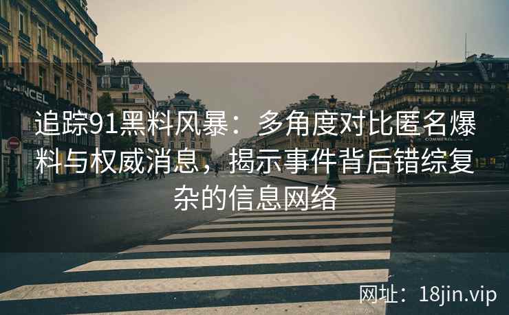 追踪91黑料风暴：多角度对比匿名爆料与权威消息，揭示事件背后错综复杂的信息网络
